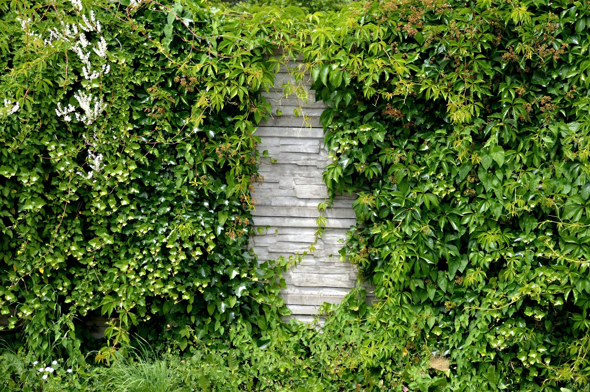 creazione giardini verticali milano